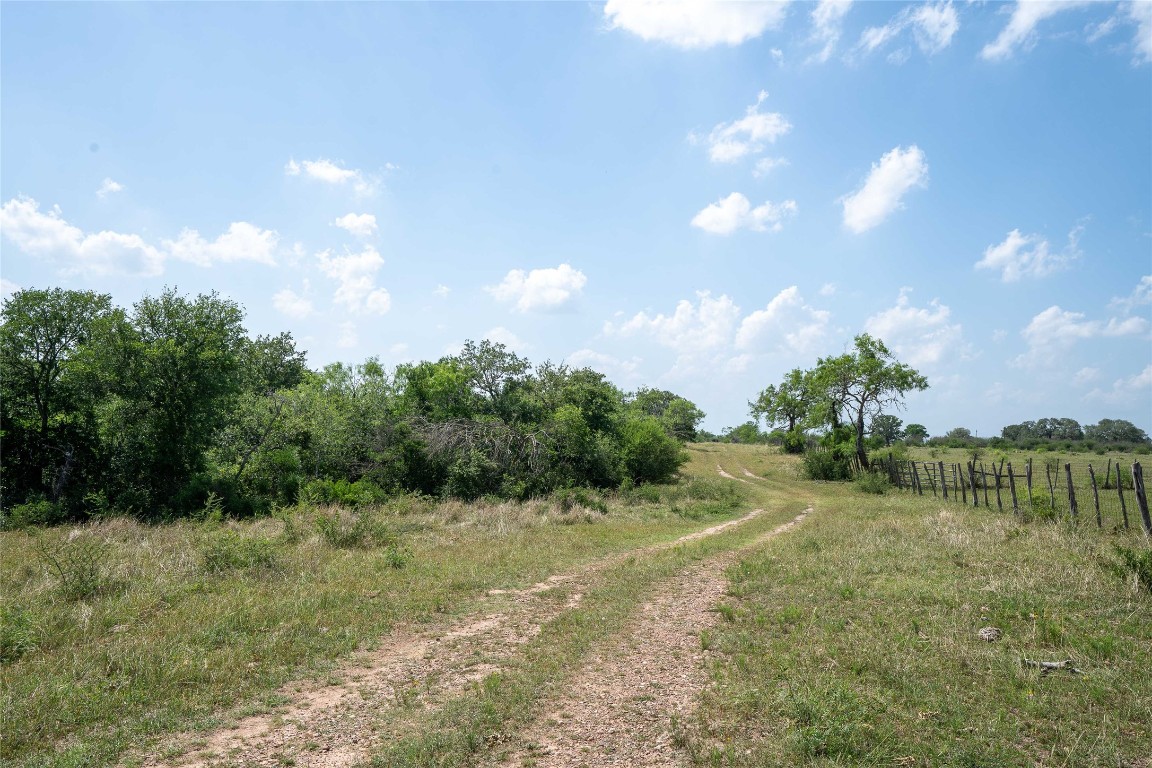 0 Gravel Pit Road Kingsbury, TX 78638 - Photo 26 of 30 a view of a big yard with plants and large trees