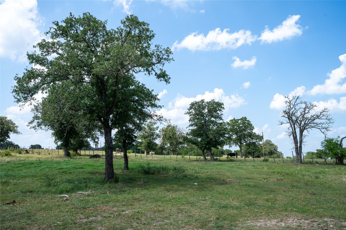 0 Gravel Pit Road Kingsbury, TX 78638 - Photo 10 of 30 a view of a big yard