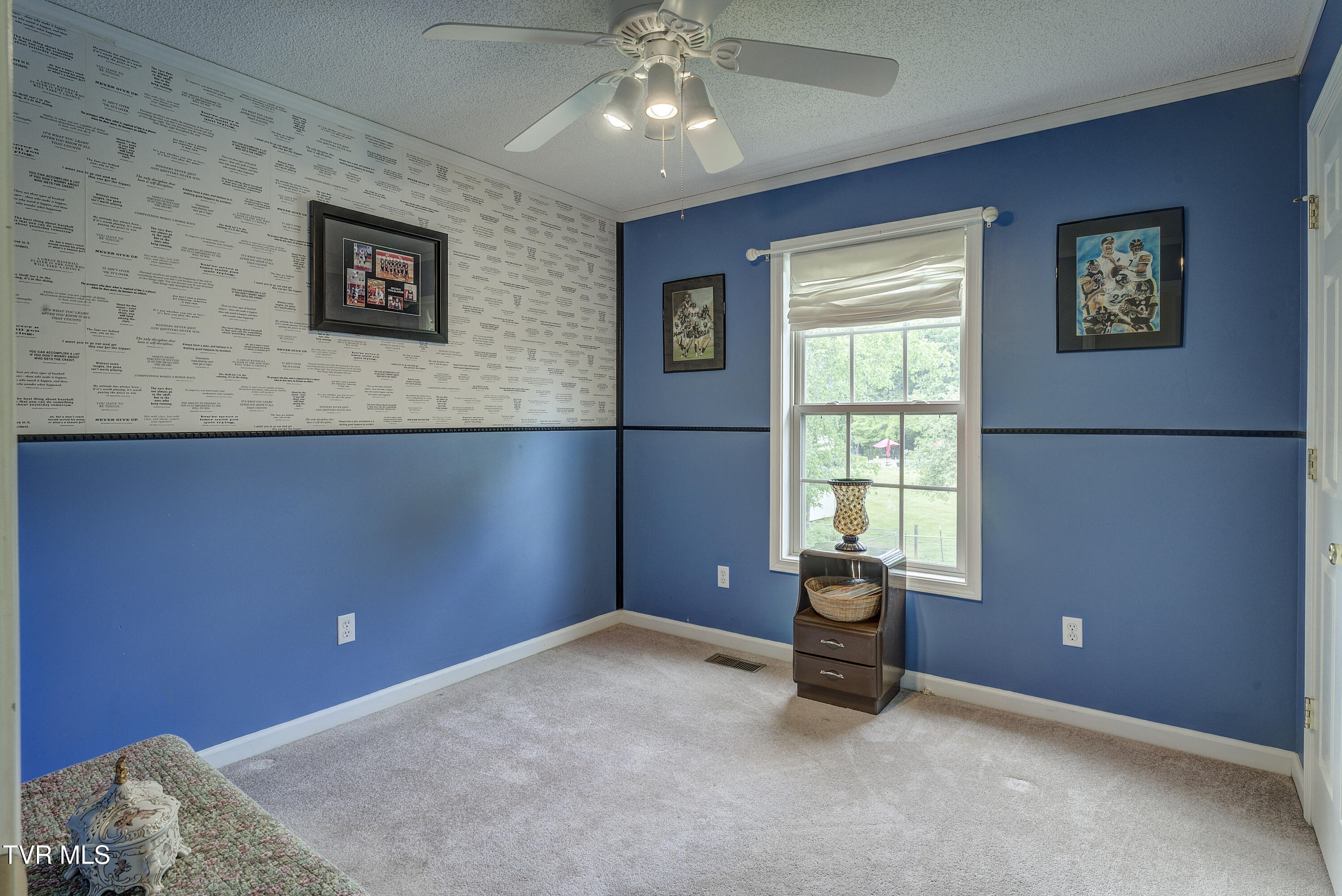 115 Maple Ridge Drive Jonesborough, TN 37659 - Photo 29 of 42 MapleRidge--16