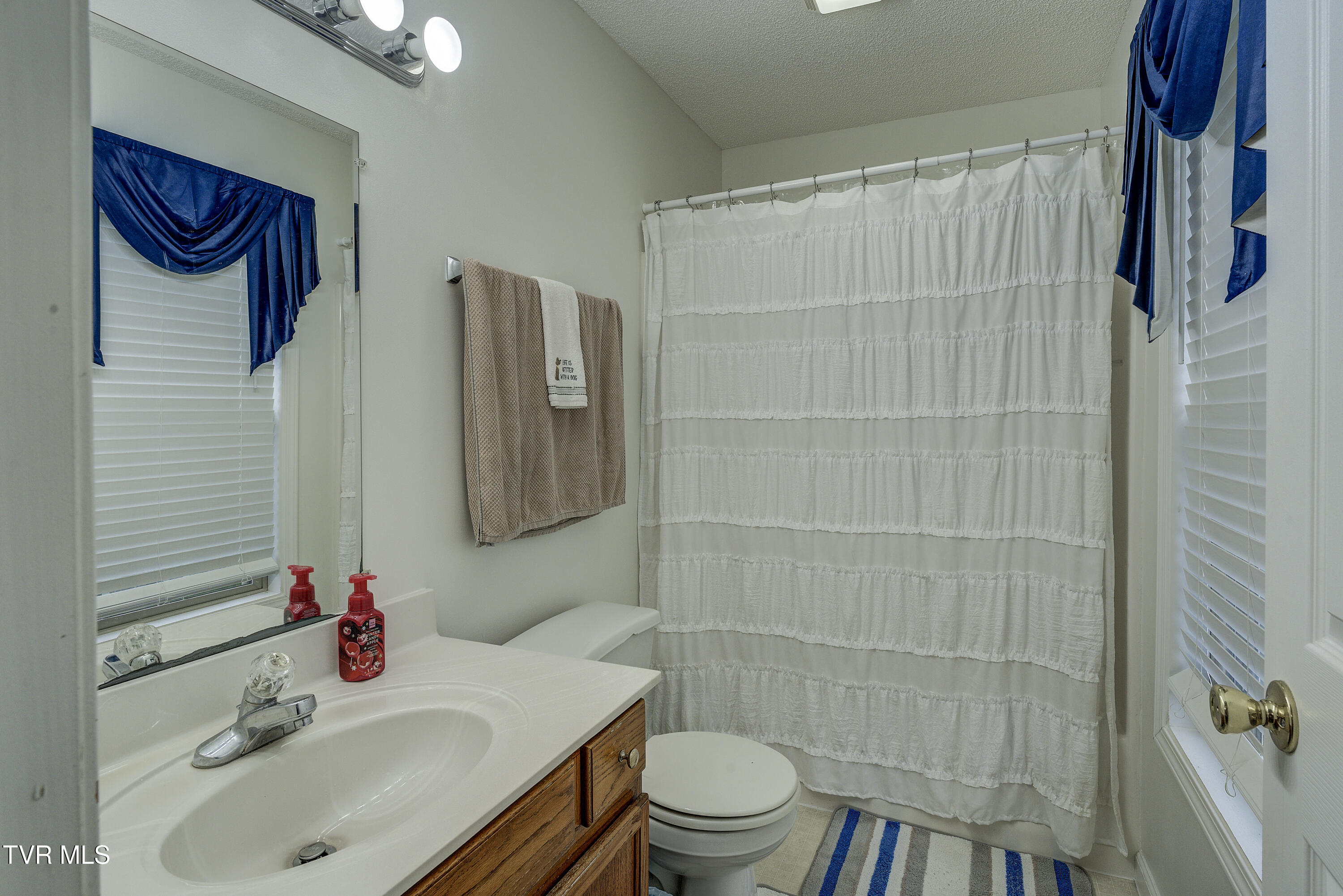 115 Maple Ridge Drive Jonesborough, TN 37659 - Photo 34 of 42 MapleRidge--22