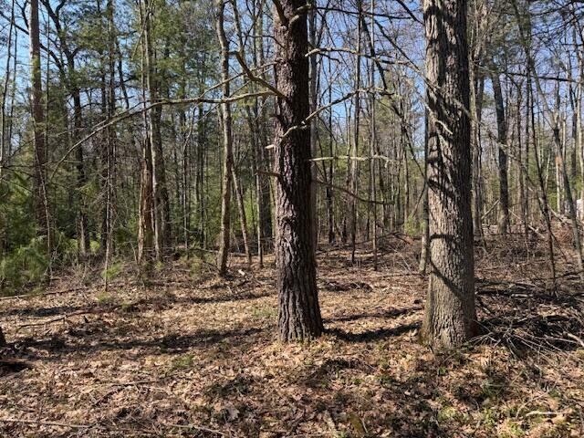 Vl South Pershing Road Baldwin, MI 49304 - Photo 3 of 8 IMG_5550