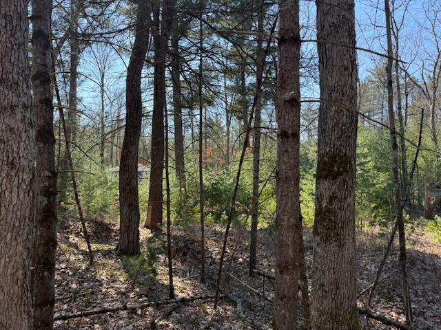 Vl South Pershing Road Baldwin, MI 49304 - Photo 5 of 8 IMG_5552