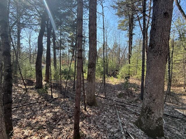 Vl South Pershing Road Baldwin, MI 49304 - Photo 6 of 8 IMG_5553