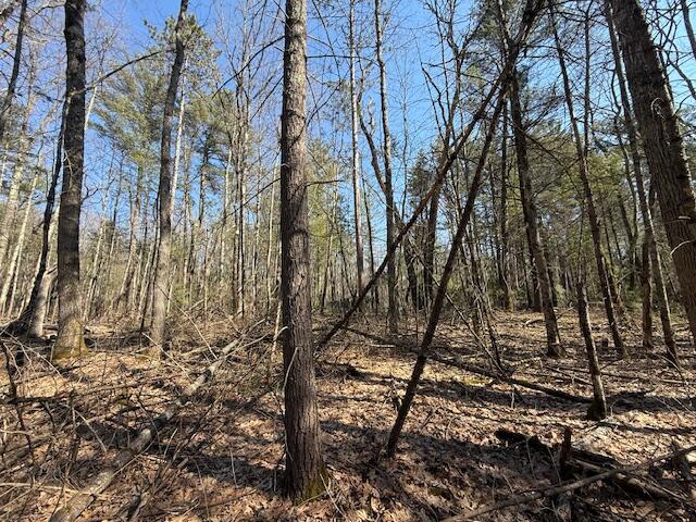 Vl South Pershing Road Baldwin, MI 49304 - Photo 8 of 8 IMG_5556