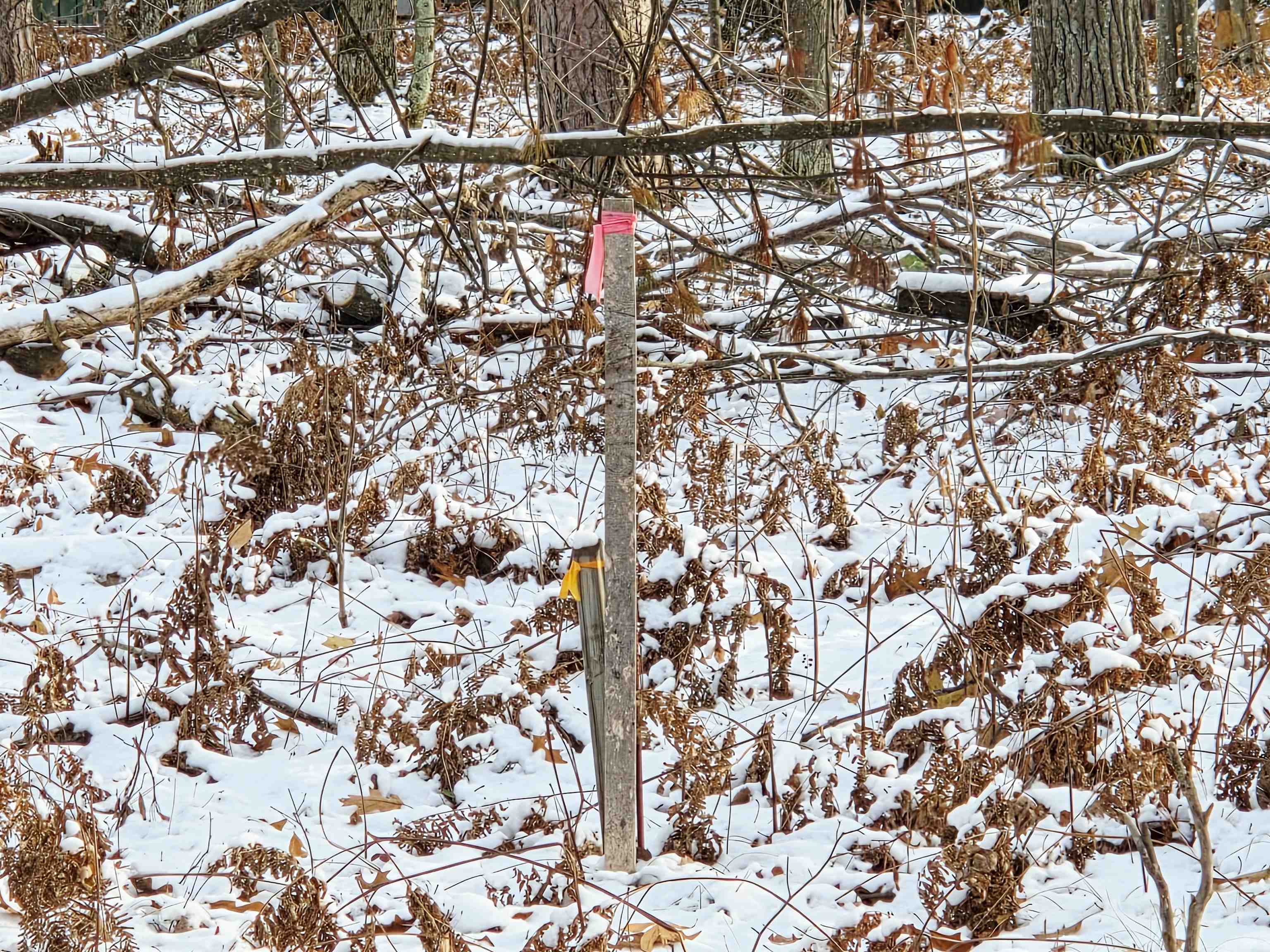 Lot 18 Kingsley Road Grayling, MI 49738 - Photo 9 of 15 1940505-75bd3f89-9007-44a5-bdb0-c046e38934b9.JPG
