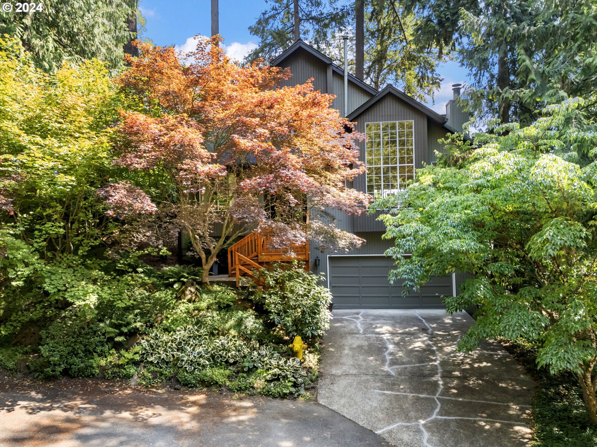 a view of a tree in front of a house with plants