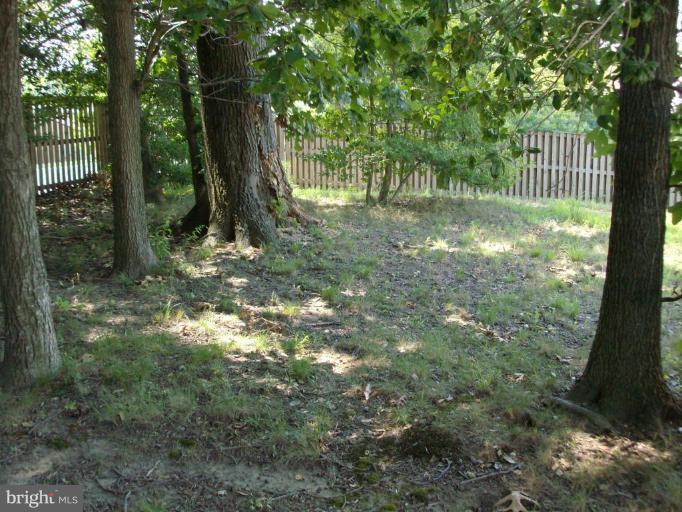 1429 Bretton View Road Annapolis, MD 21409 - Photo 6 of 8 Back yard