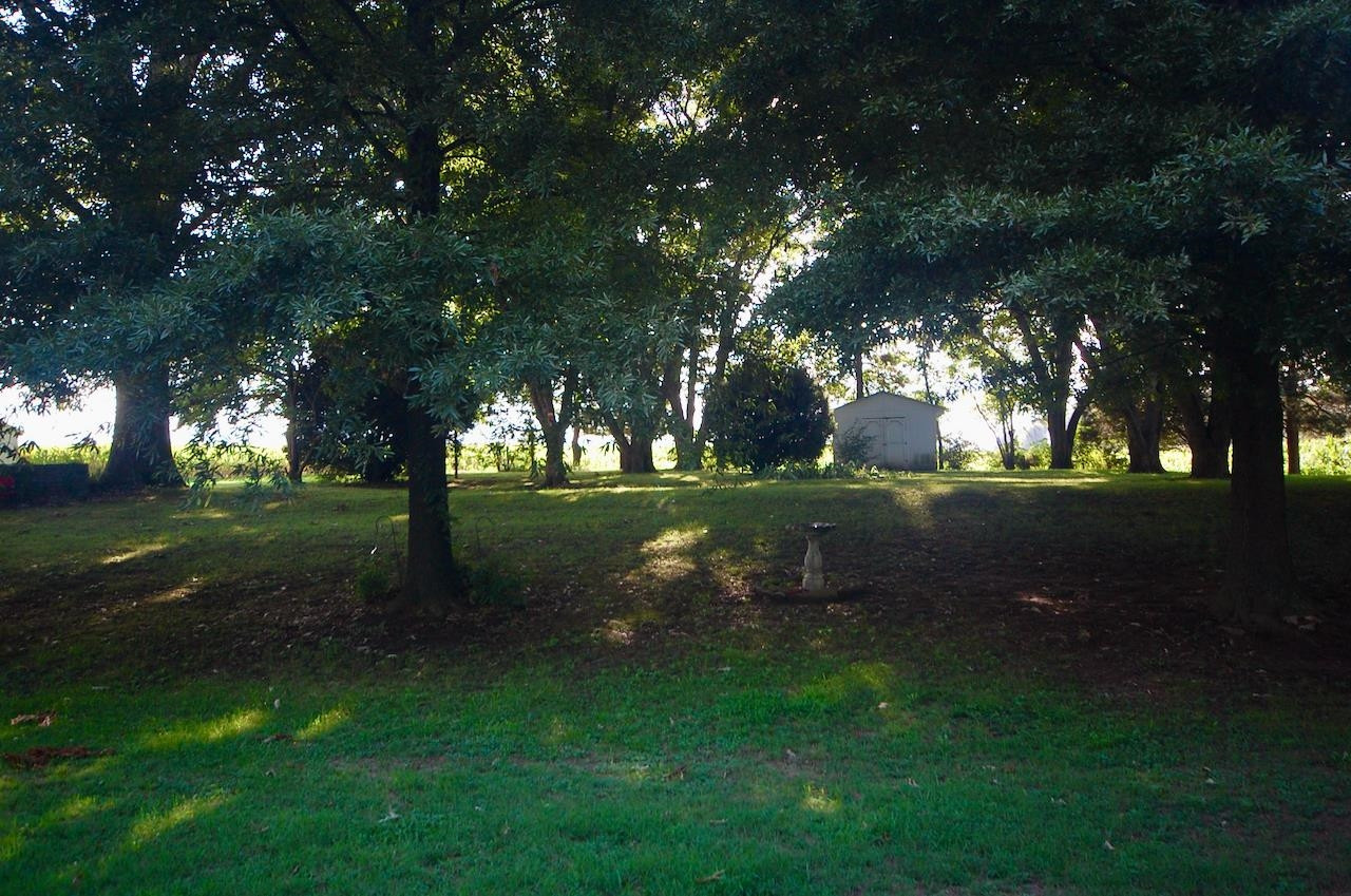 605 South Trenton Street Rutherford, TN 38369 - Photo 29 of 39 a view of a park