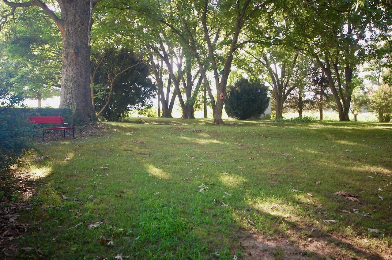 605 South Trenton Street Rutherford, TN 38369 - Photo 30 of 39 a view of a trees in a yard