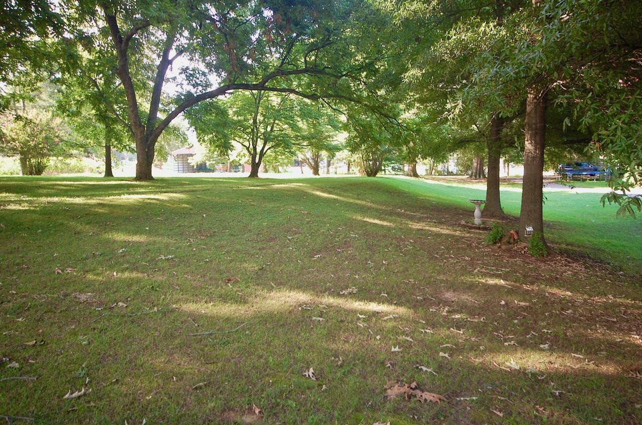 605 South Trenton Street Rutherford, TN 38369 - Photo 32 of 39 a view of yard with trees