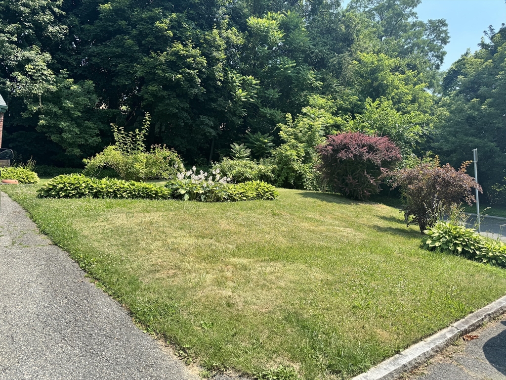 64 Goodrich Street Springfield, MA 01104 - Photo 2 of 11