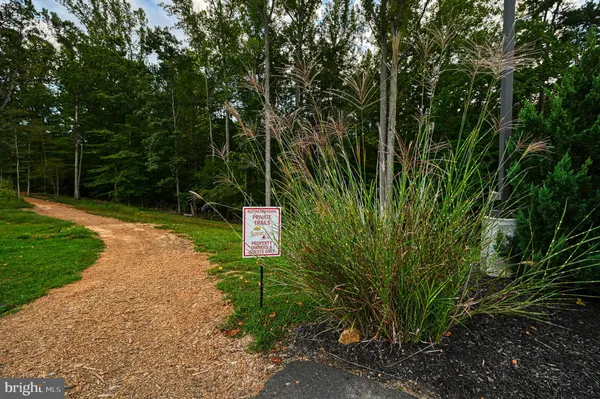 a sign that is sitting in the middle of a forest