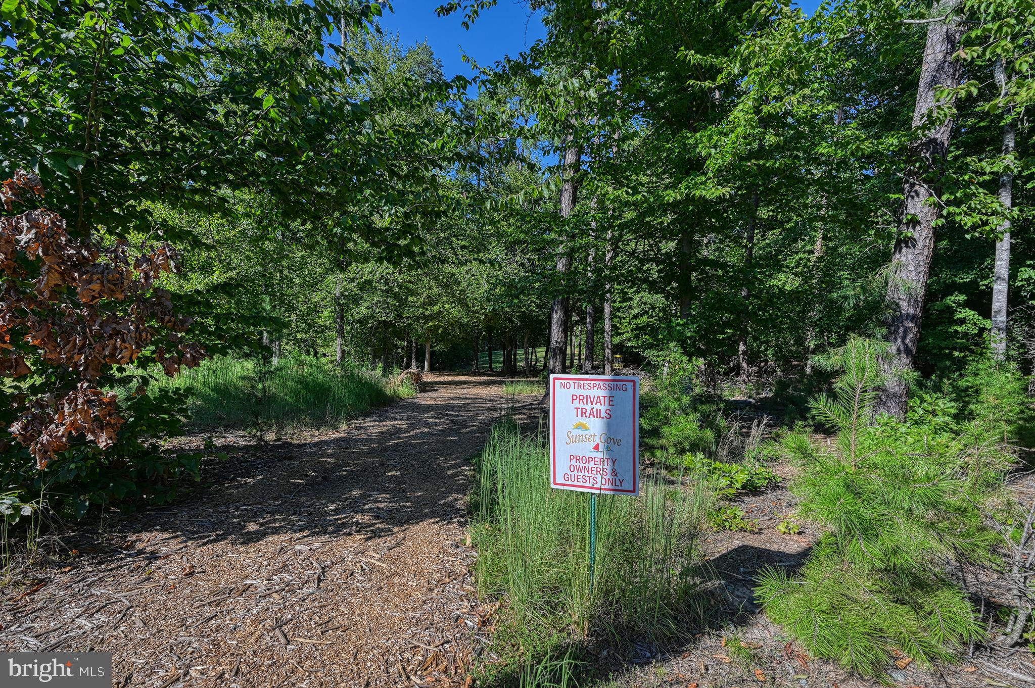 Lot 47 Sunset Loop Mineral, VA 23117 - Photo 38 of 51 a sign that is sitting in the middle of a forest