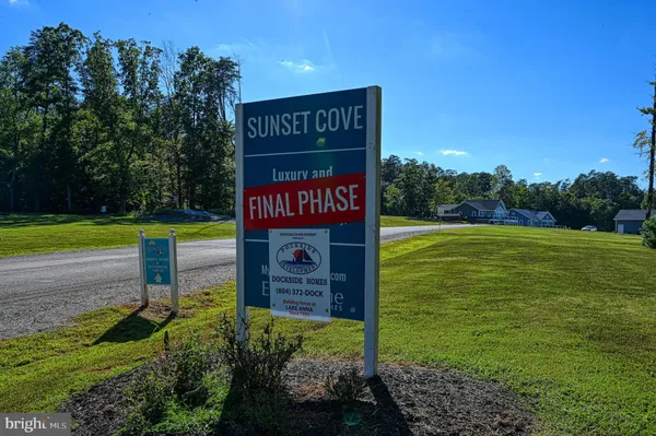 a view of a yard with trees