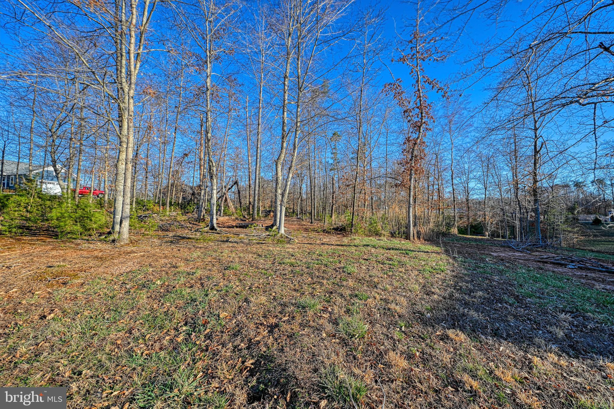 Lot 47 Sunset Loop Mineral, VA 23117 - Photo 43 of 51 a view of a yard with trees