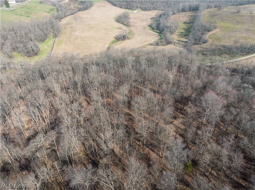 Coal Road Newcomerstown, OH 43832 - Photo 2 of 6 Gallery Image 2