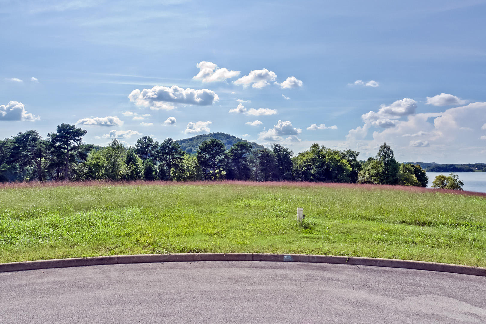275 Bay Pointe Road Vonore, TN 37885 - Photo 2 of 14 01_BayPointeDrive_889R_Street_W-SW