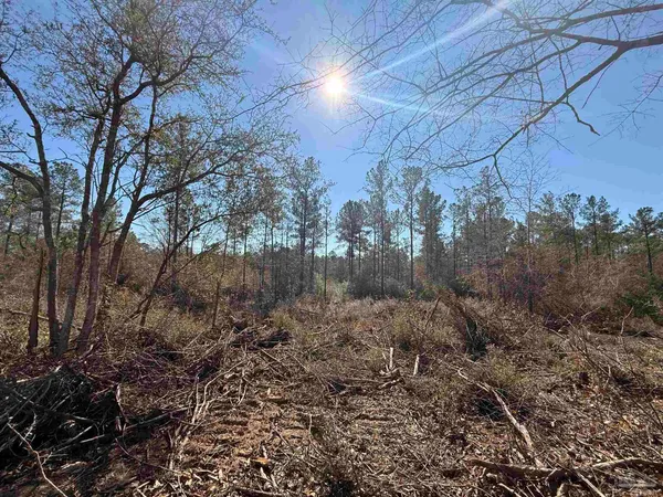 $190,000 | Lot 2 Creek Bluff Drive, Pace, FL 32571