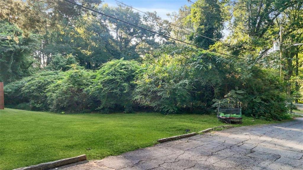 0 Pebble Drive Atlanta, GA 30344 - Photo 5 of 23 a view of a yard with plants and a large tree