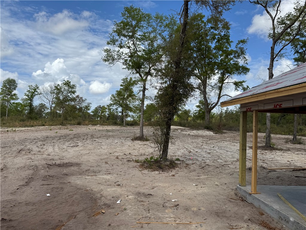 387 Birchwood Road Nahunta, GA 31553 - Photo 4 of 4