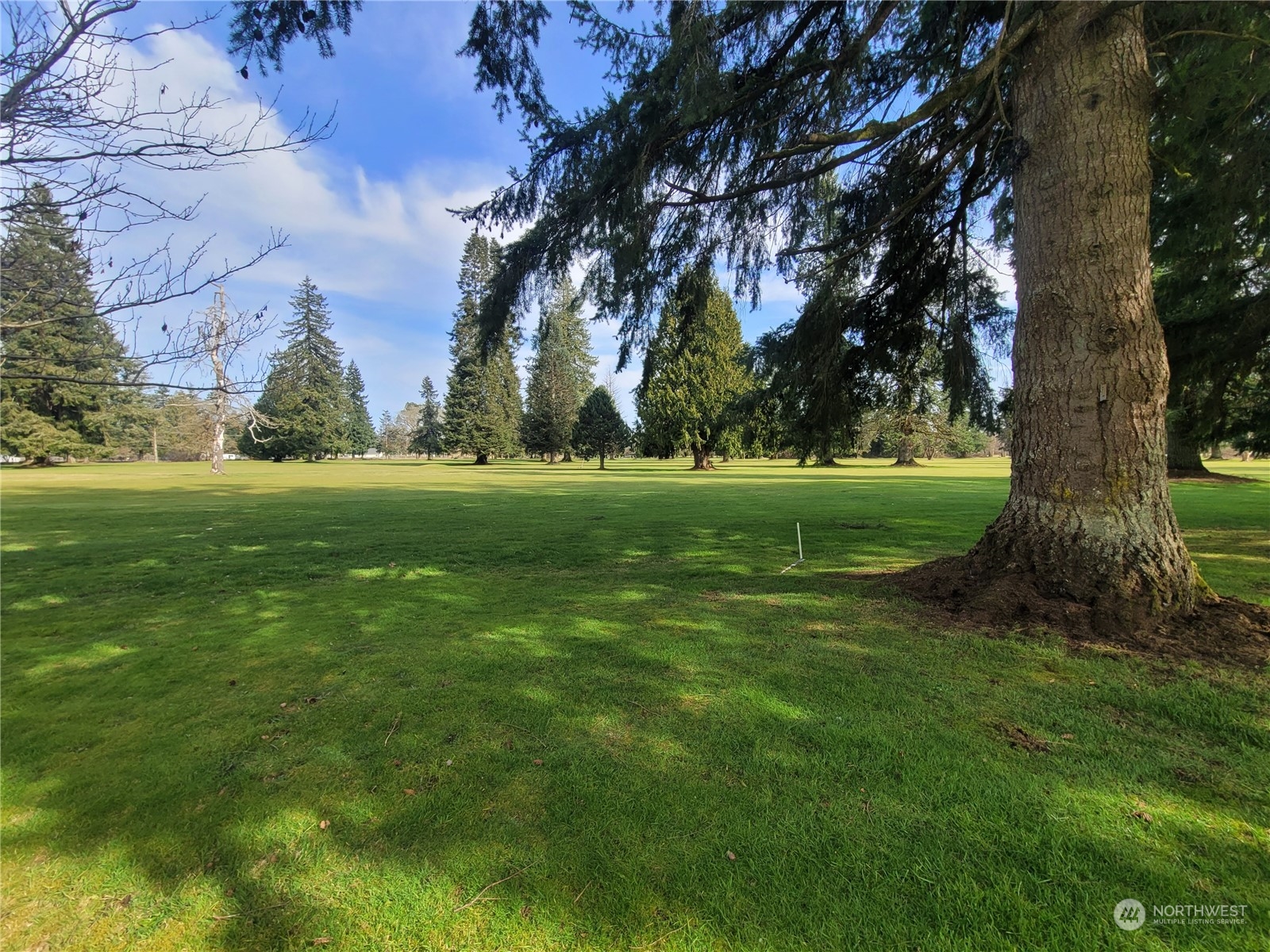 1022 Monte Elma Road Elma, WA 98541 - Photo 32 of 33 Gallery Image 32