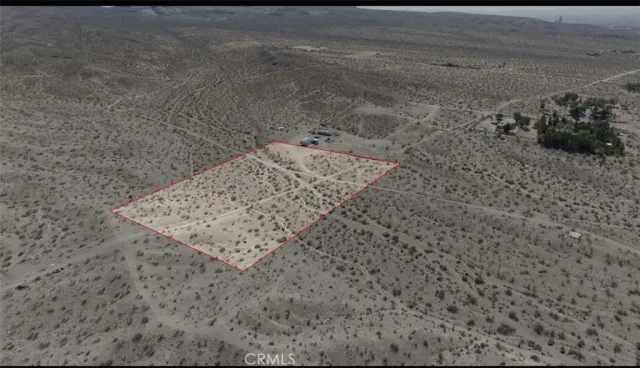 a view of a dry yard