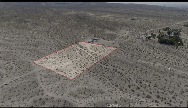 a view of a dry yard