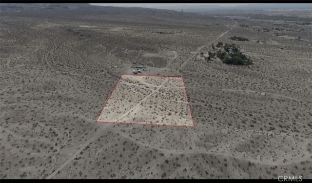 a view of a dry yard