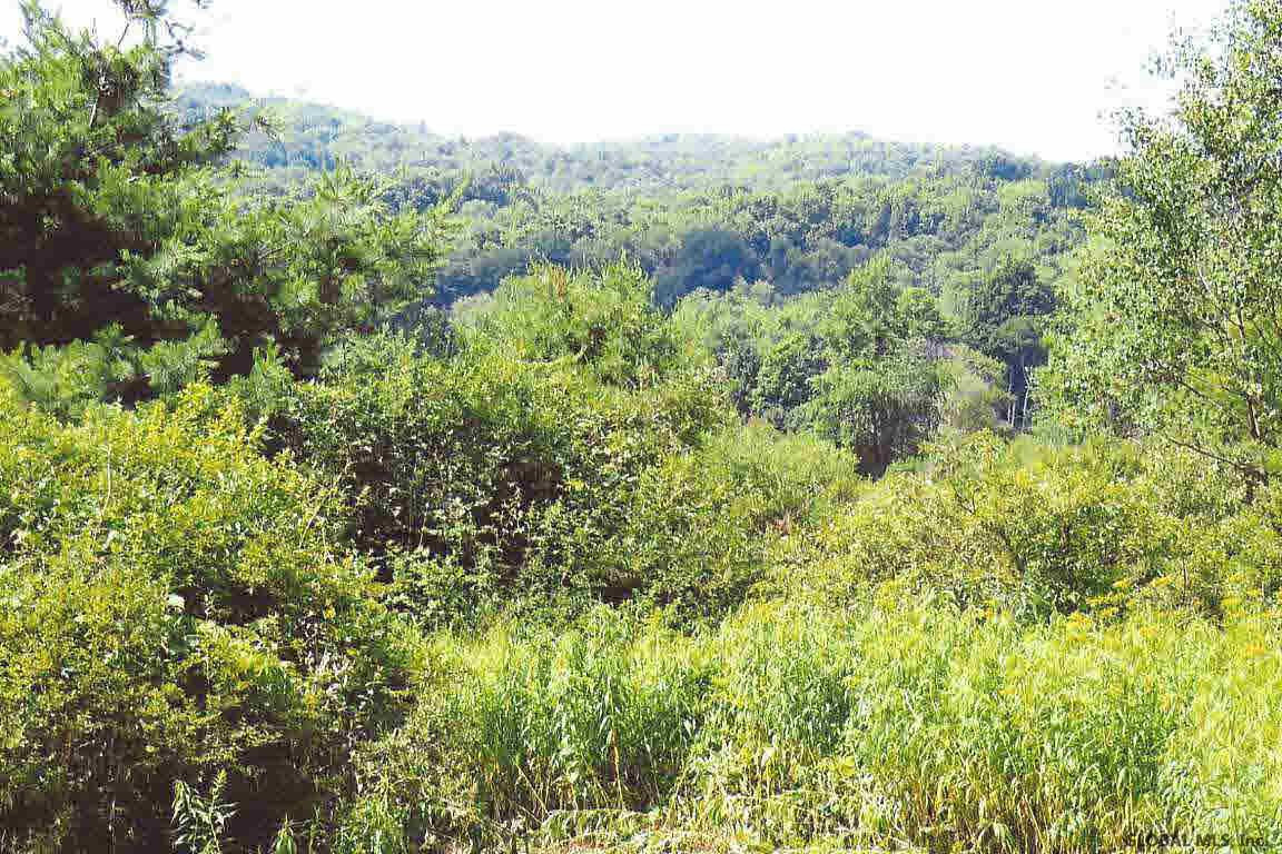 1247 Bogtown Road Hebron, NY 12865 - Photo 8 of 16 Photo 8