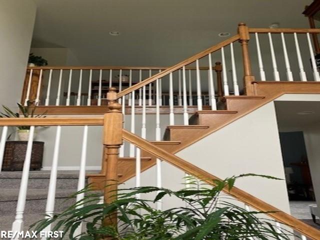 17791 Rocco Drive Macomb, MI 48044 - Photo 18 of 25 50049571-17.JPG