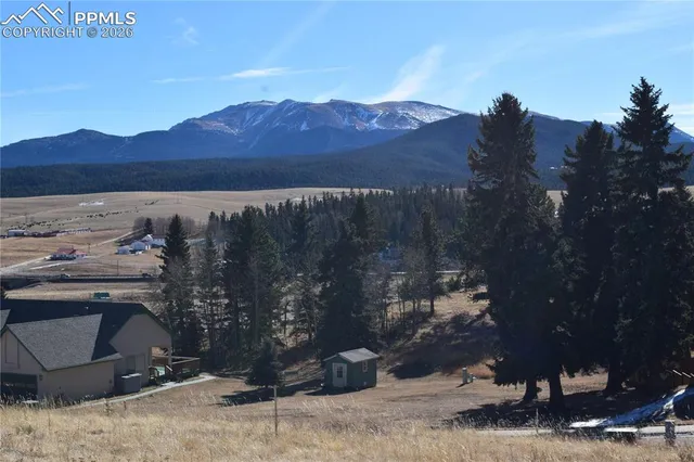 a view of a house with a mountain and a forest