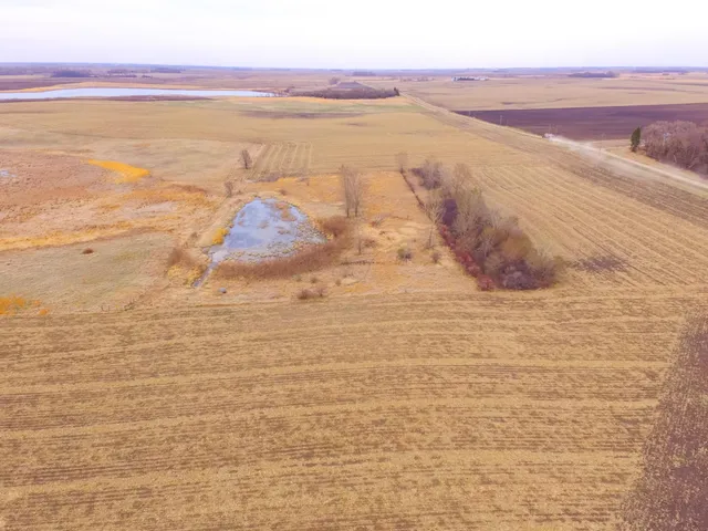 $585,300 | Tbd 170th Street, Madison, MN 56256