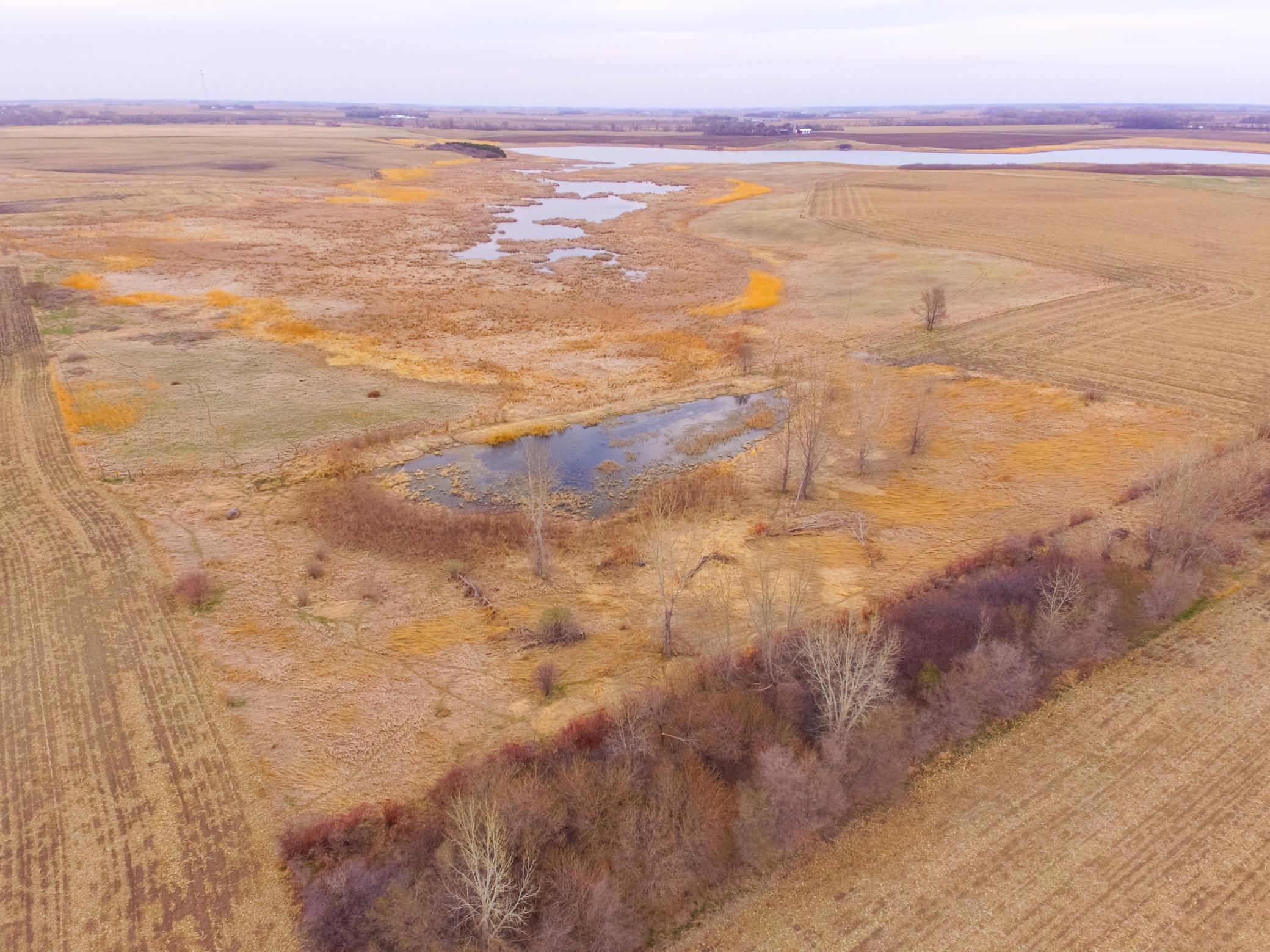 Tbd 170th Street Madison, MN 56256 - Photo 14 of 59