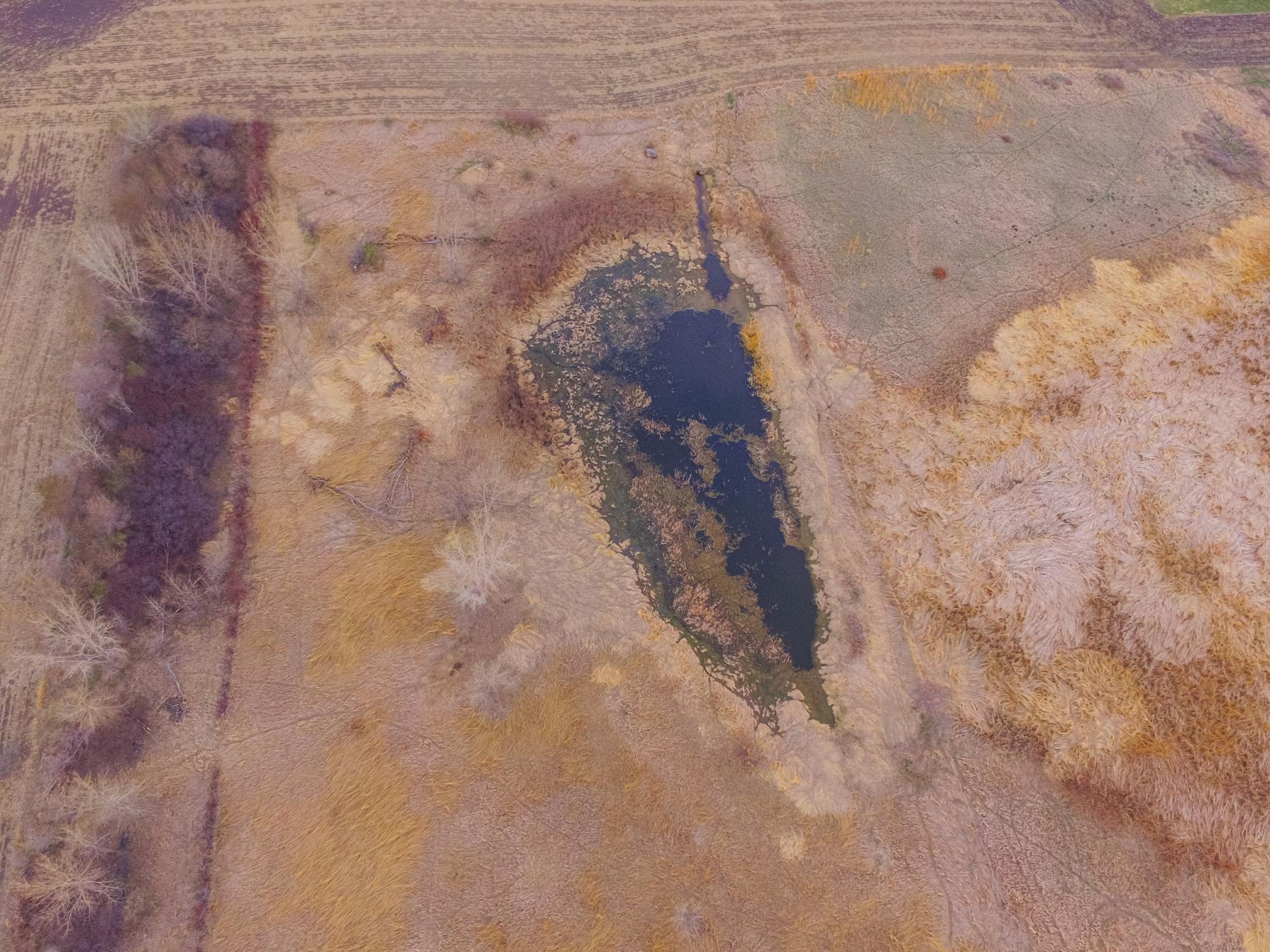 Tbd 170th Street Madison, MN 56256 - Photo 17 of 59