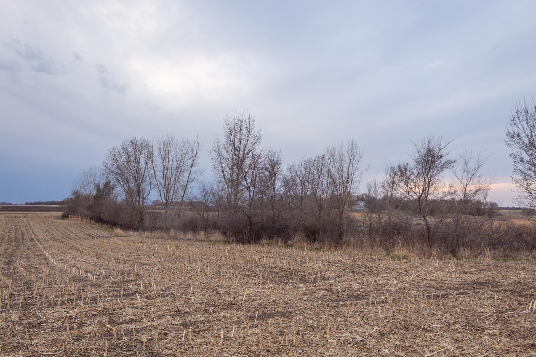 Tbd 170th Street Madison, MN 56256 - Photo 20 of 59