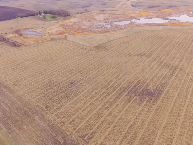 $585,300 | Tbd 170th Street, Madison, MN 56256