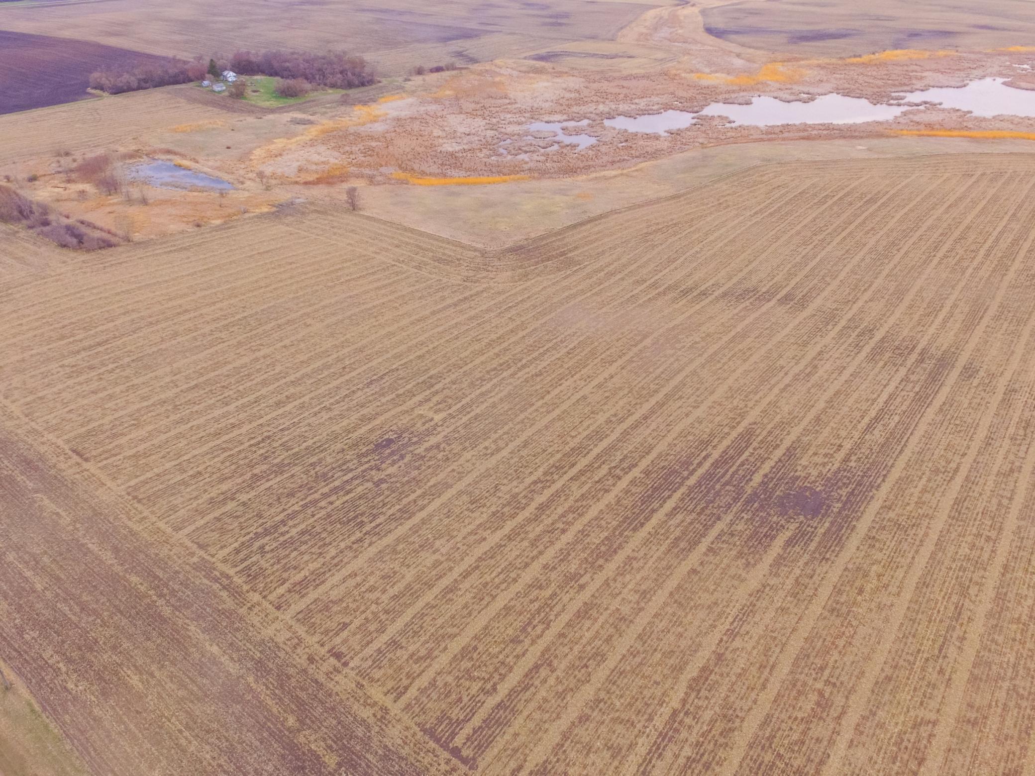 Tbd 170th Street Madison, MN 56256 - Photo 2 of 59