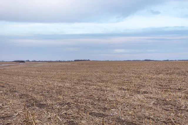 $585,300 | Tbd 170th Street, Madison, MN 56256