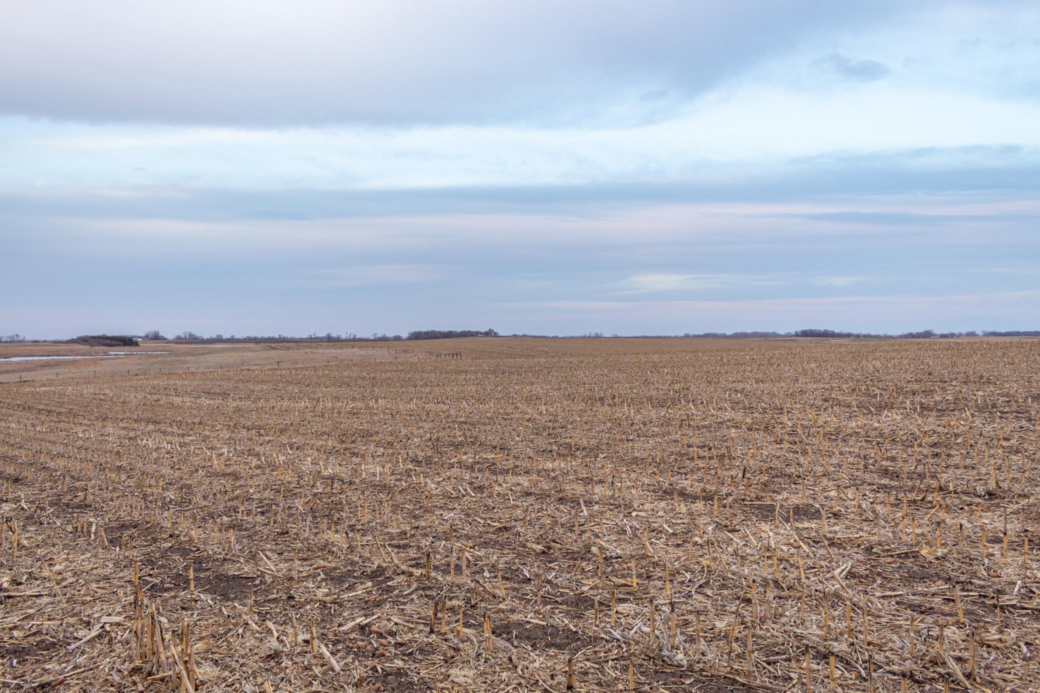 Tbd 170th Street Madison, MN 56256 - Photo 21 of 59