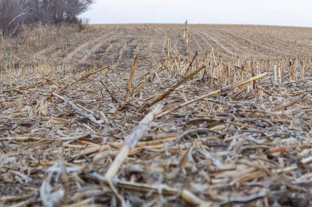 $585,300 | Tbd 170th Street, Madison, MN 56256