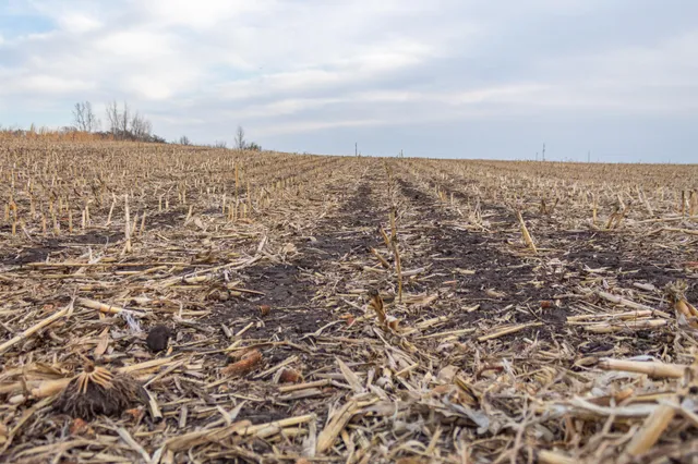 $585,300 | Tbd 170th Street, Madison, MN 56256