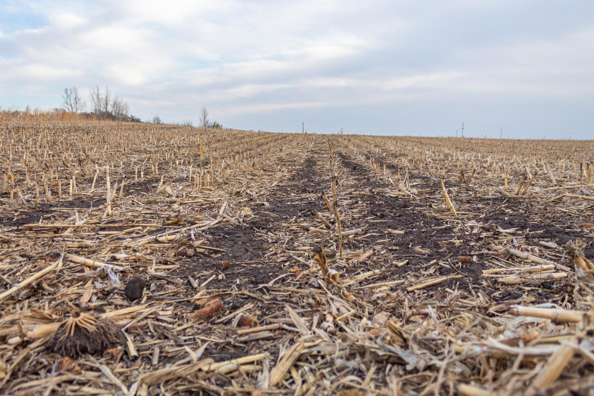 Tbd 170th Street Madison, MN 56256 - Photo 23 of 59