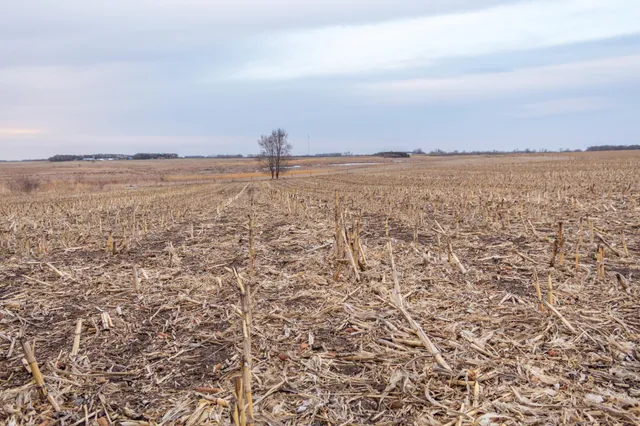 $585,300 | Tbd 170th Street, Madison, MN 56256