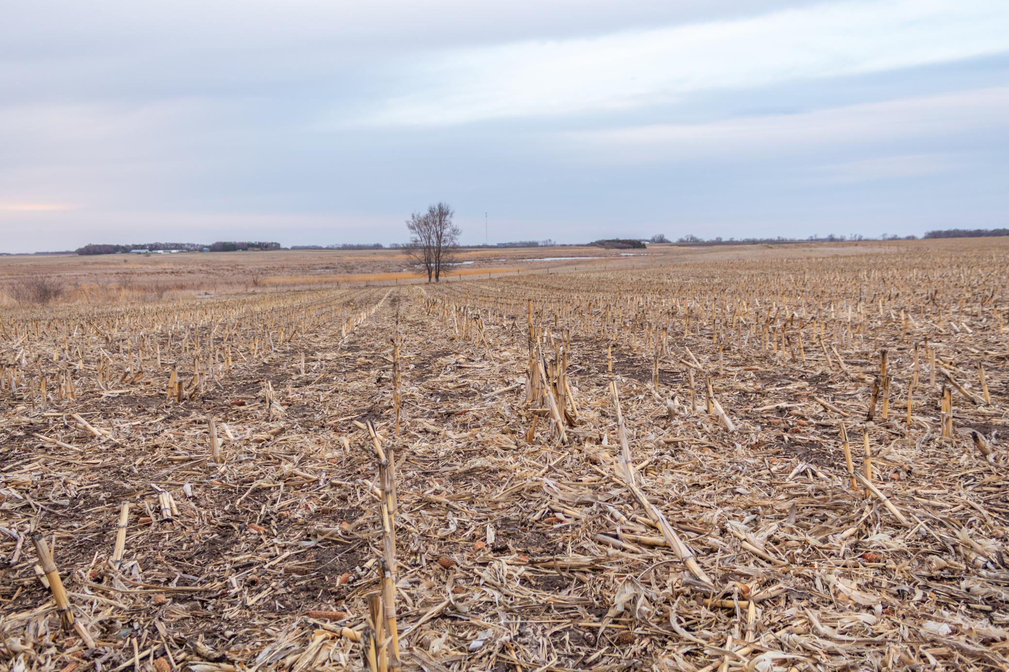 Tbd 170th Street Madison, MN 56256 - Photo 24 of 59