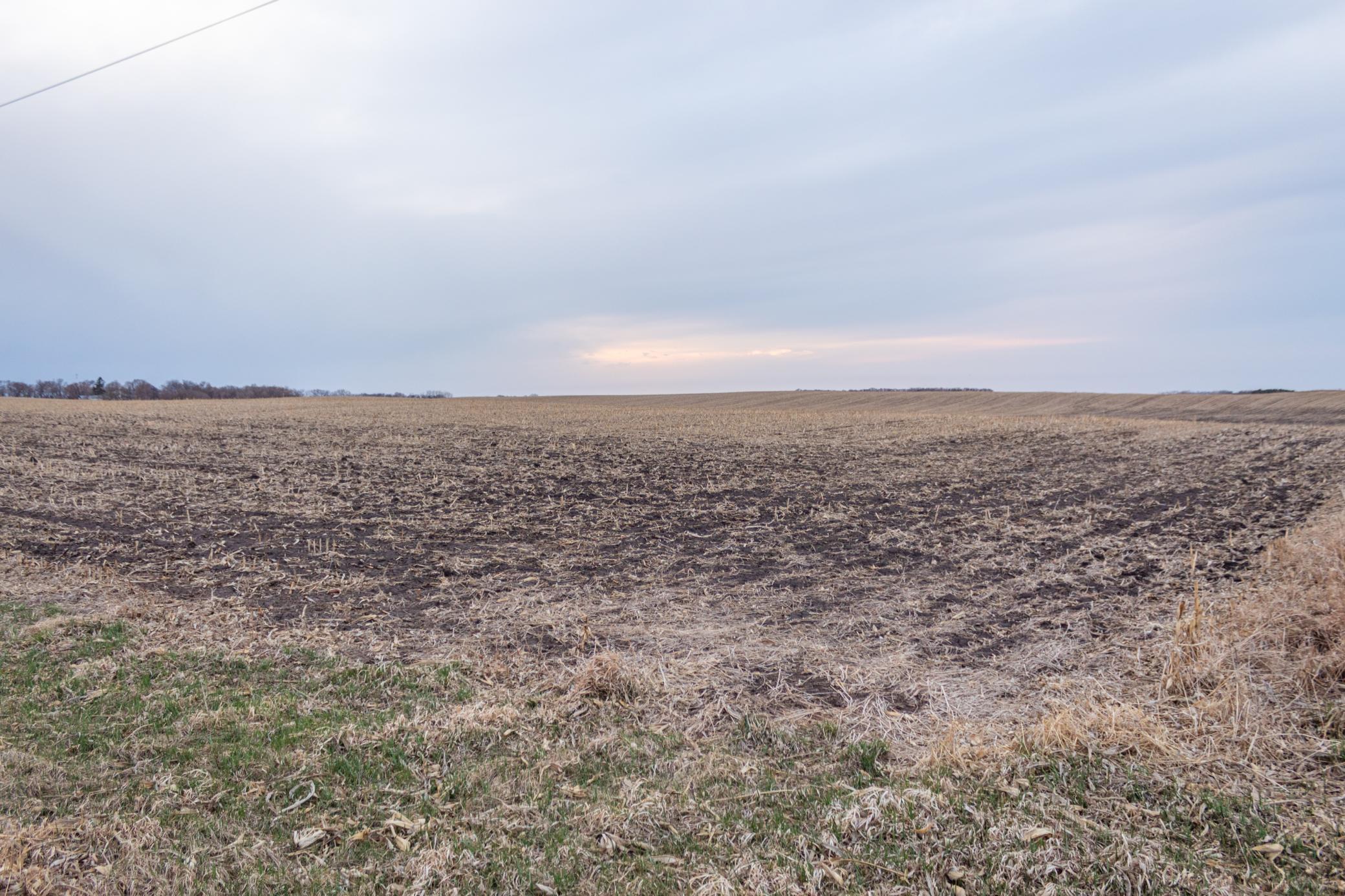 Tbd 170th Street Madison, MN 56256 - Photo 26 of 59