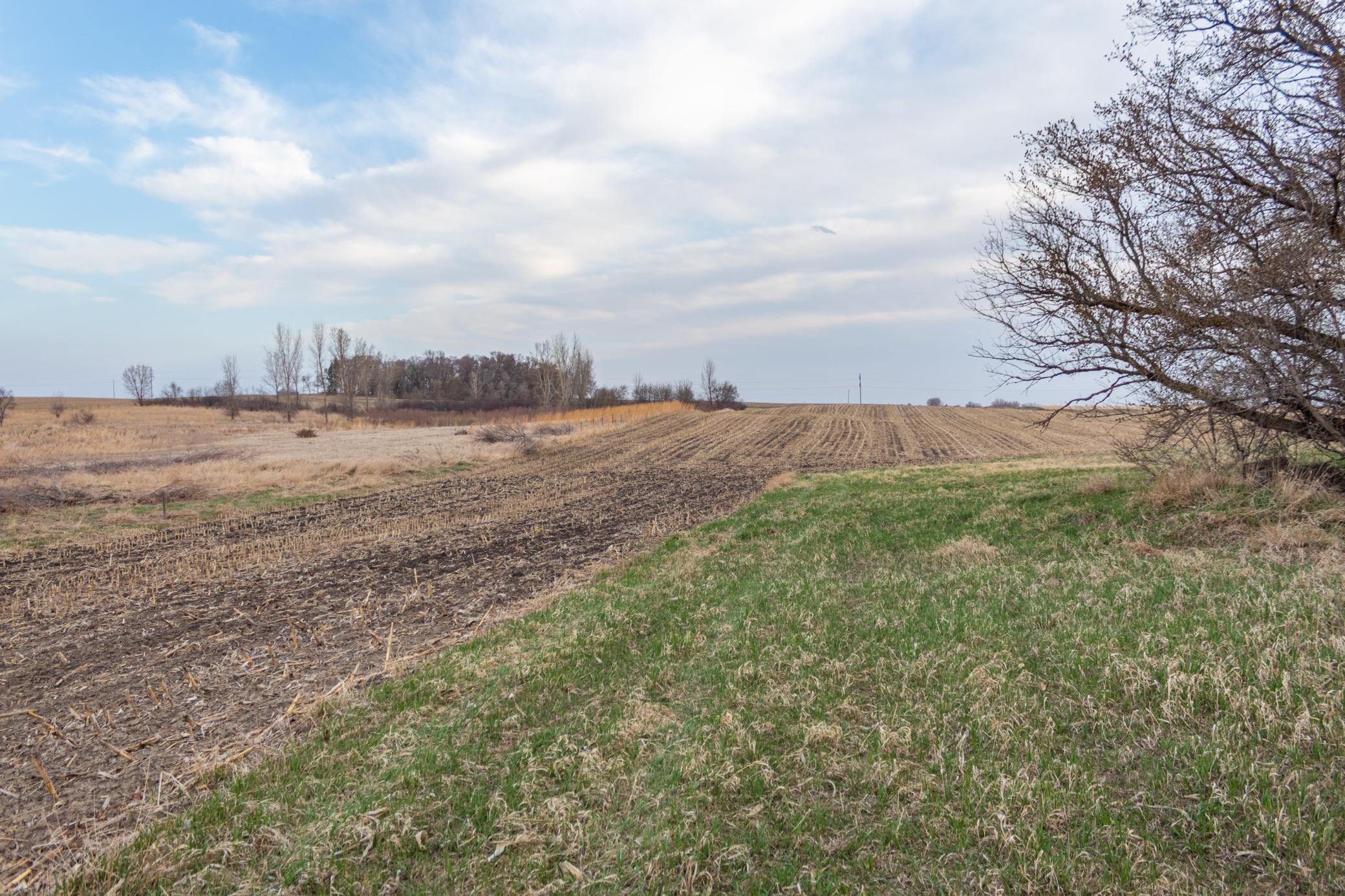 Tbd 170th Street Madison, MN 56256 - Photo 28 of 59