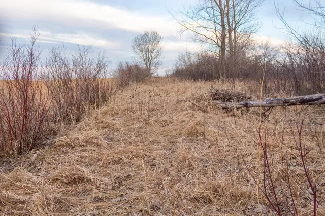 $585,300 | Tbd 170th Street, Madison, MN 56256