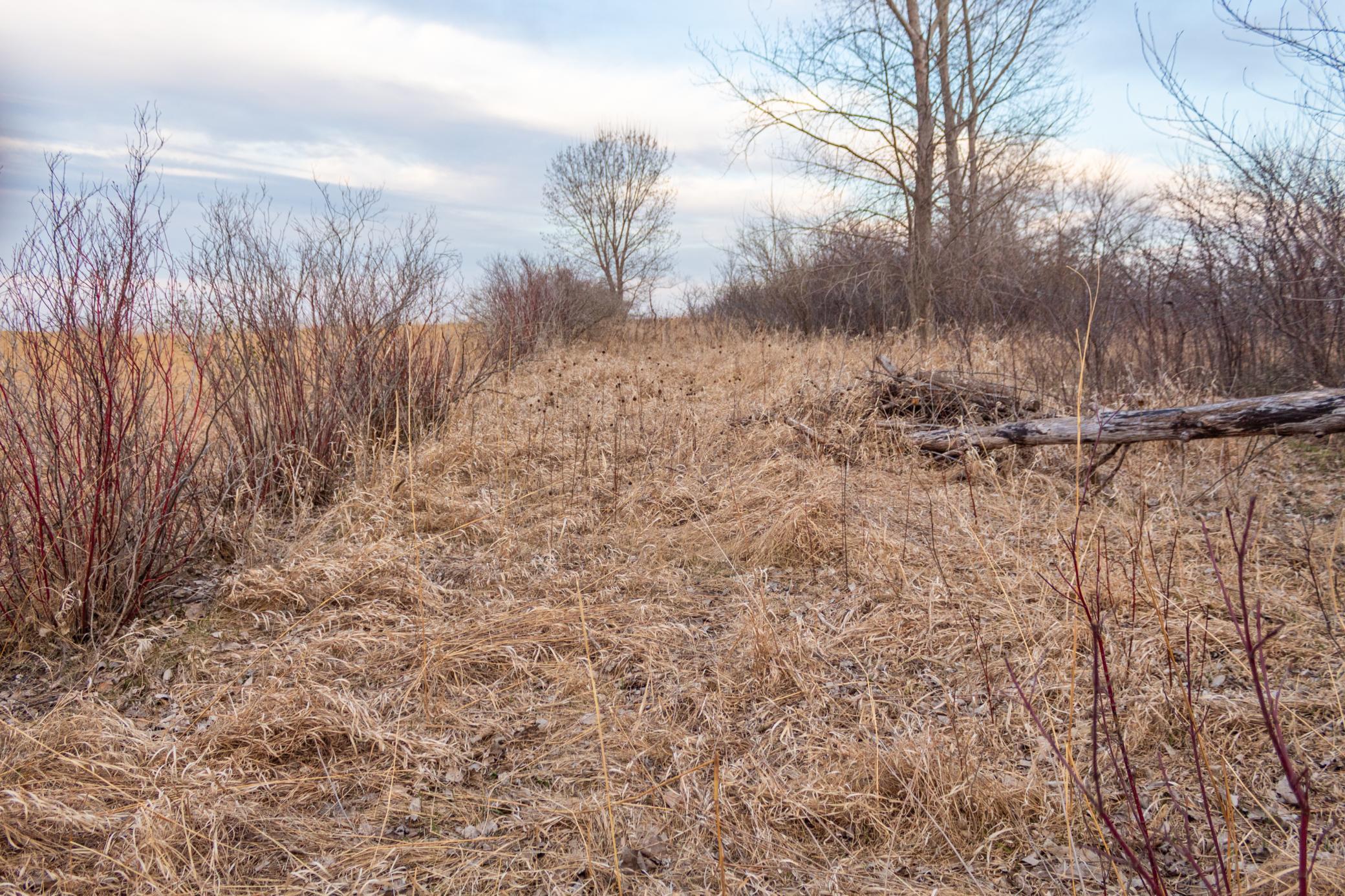 Tbd 170th Street Madison, MN 56256 - Photo 32 of 59