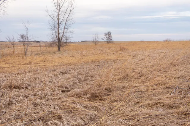 $585,300 | Tbd 170th Street, Madison, MN 56256