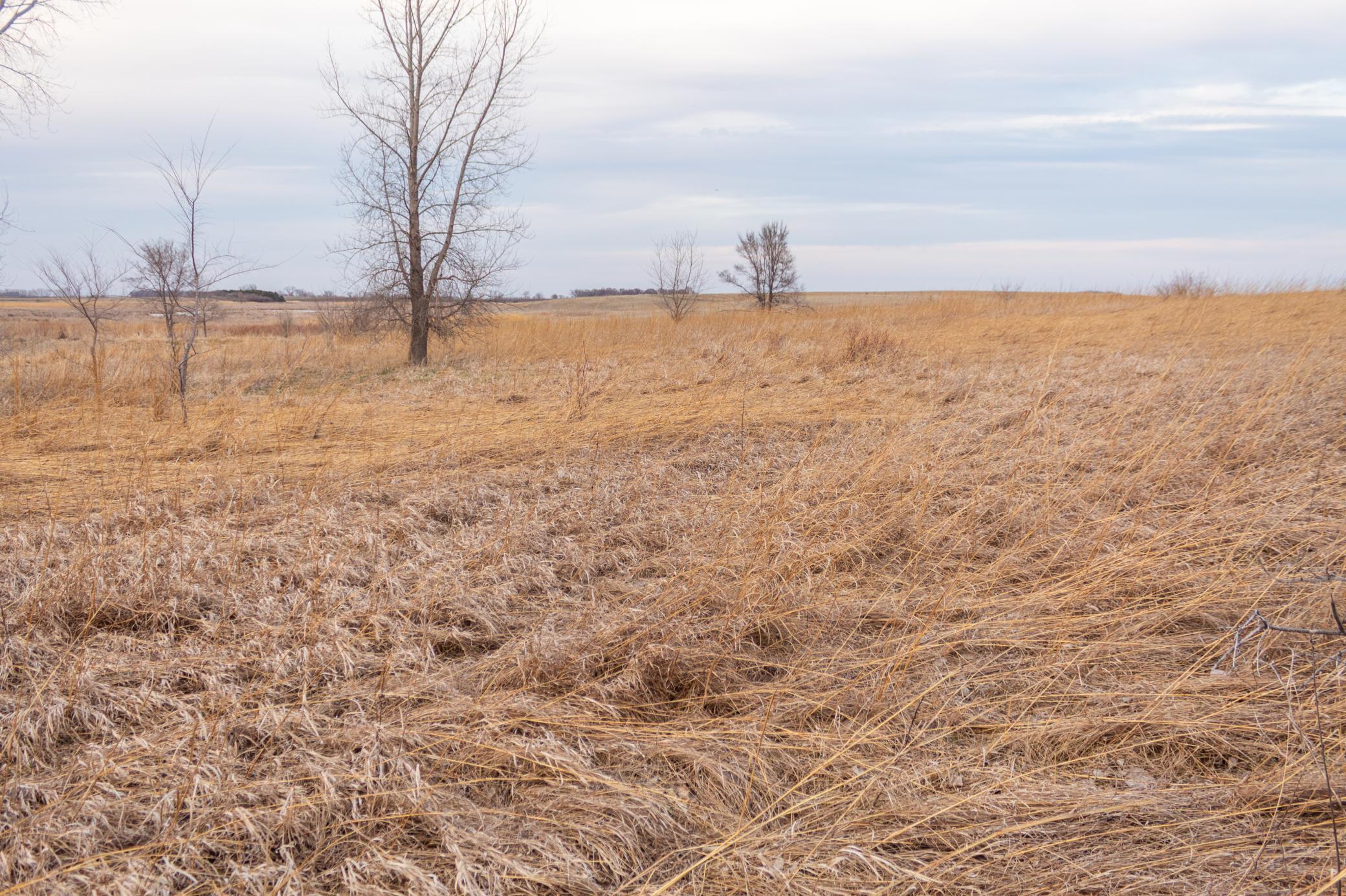 Tbd 170th Street Madison, MN 56256 - Photo 33 of 59